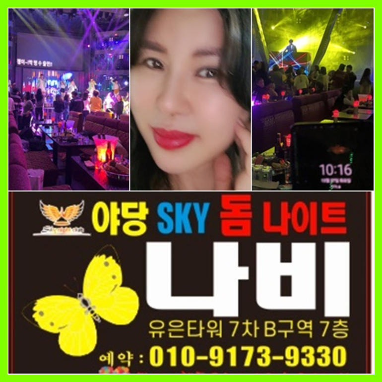 야당스카이돔나이트