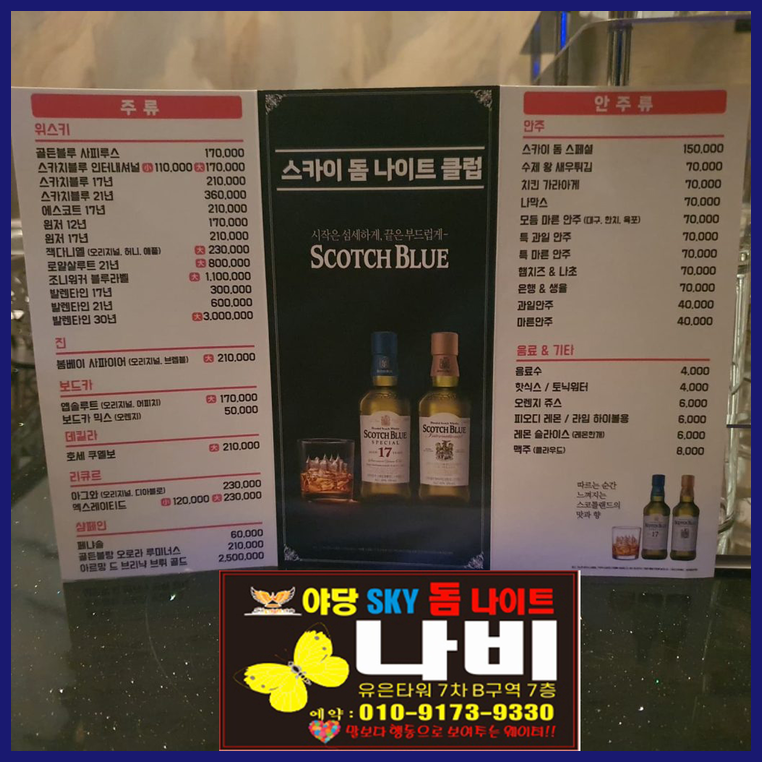 야당스카이돔나이트