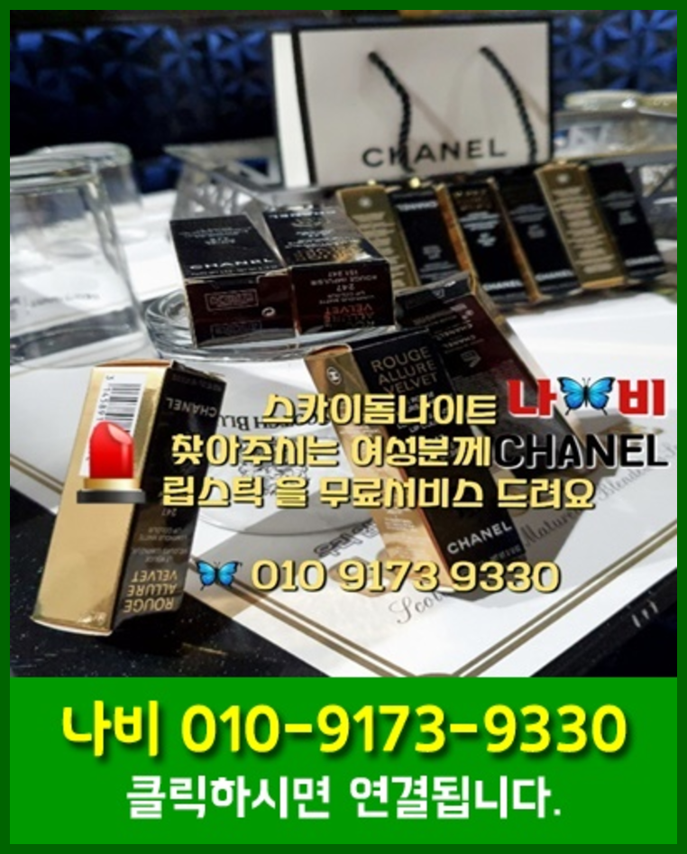 파주스카이돔나이트